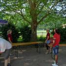 Altpapiersammlung 2013 - 02